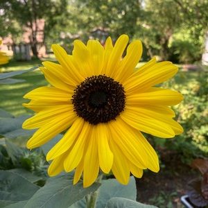 Meet your Posher, Mathilde